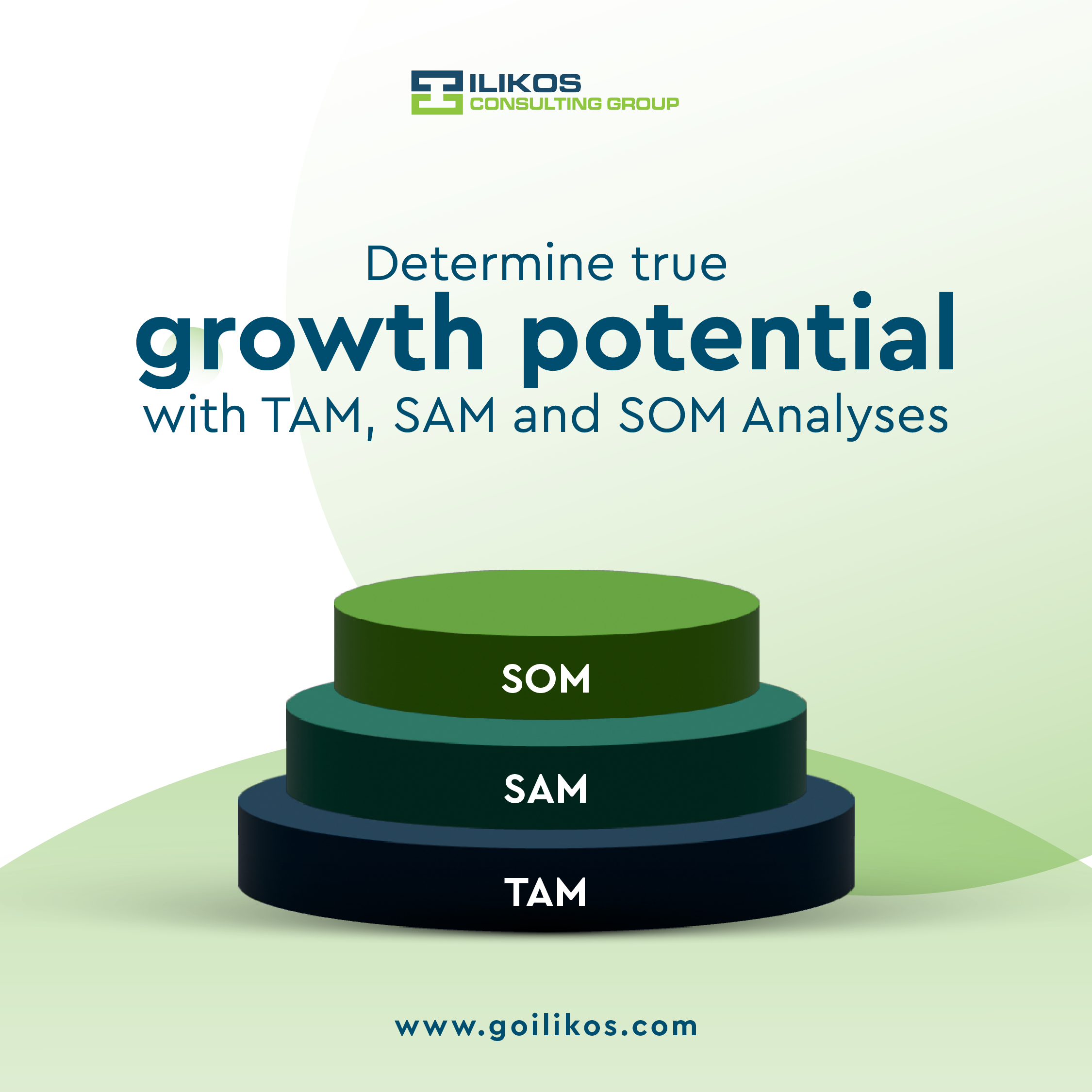 TAM SAM SOM Reports article